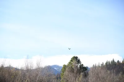 DSC_0255 (Large).JPG